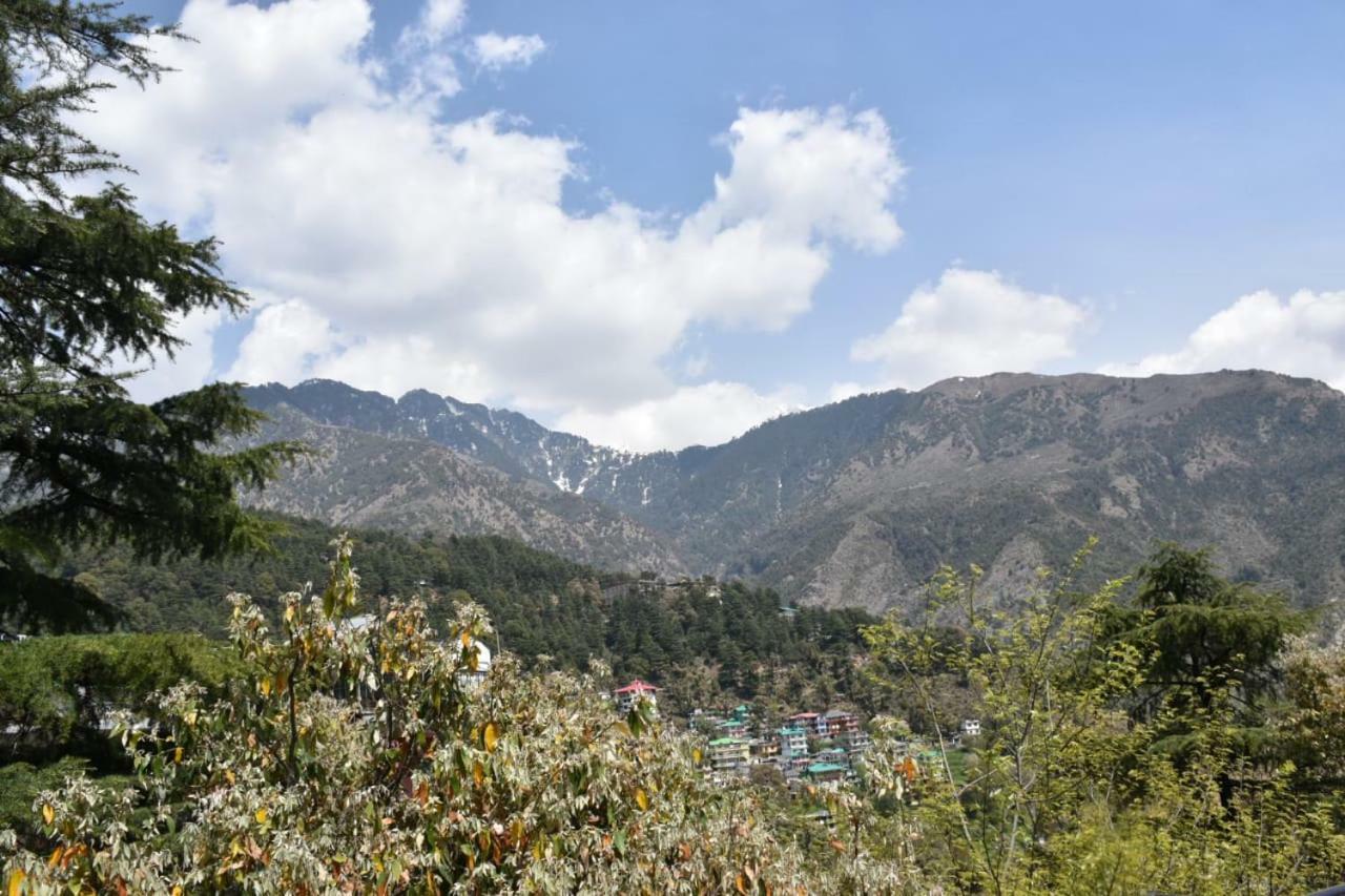 Hotel Misty Woods Dharamsala Zewnętrze zdjęcie