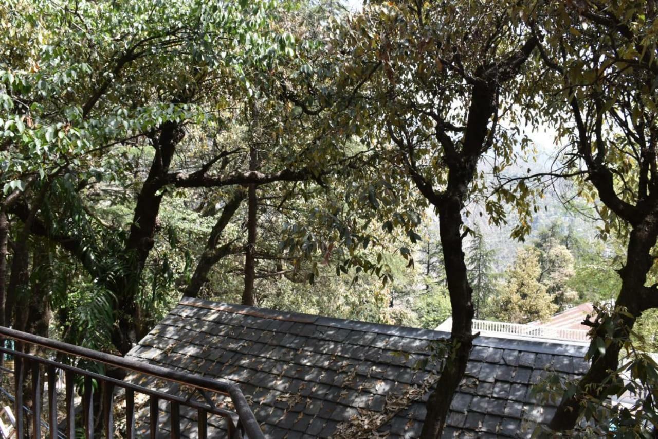 Hotel Misty Woods Dharamsala Zewnętrze zdjęcie