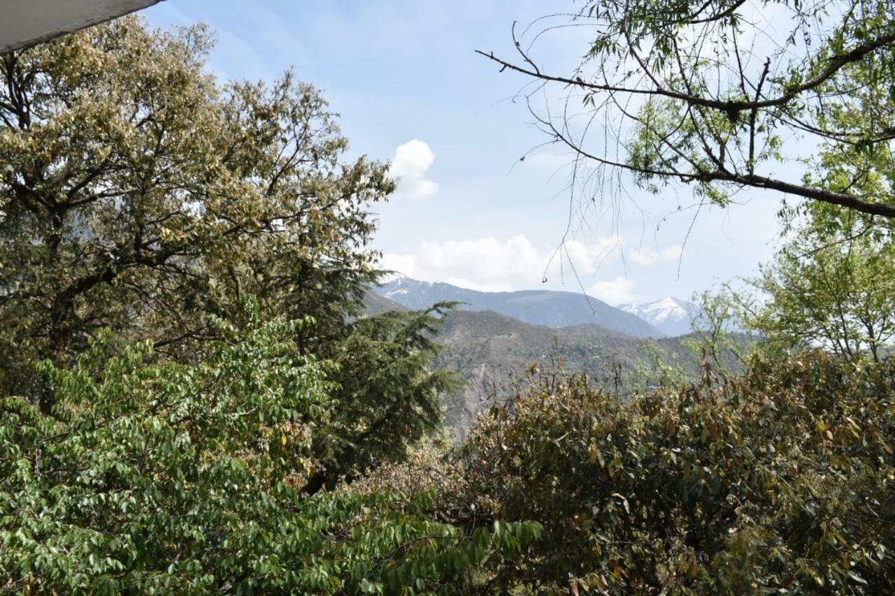 Hotel Misty Woods Dharamsala Zewnętrze zdjęcie