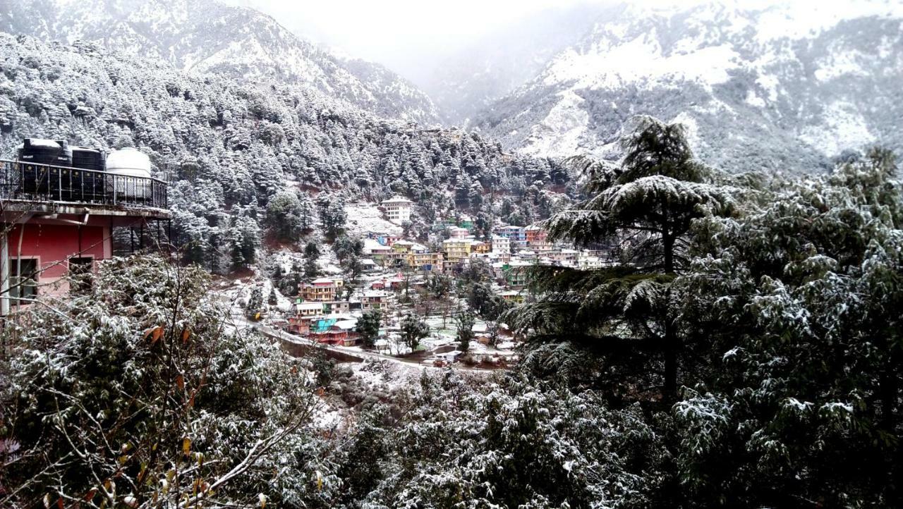 Hotel Misty Woods Dharamsala Zewnętrze zdjęcie