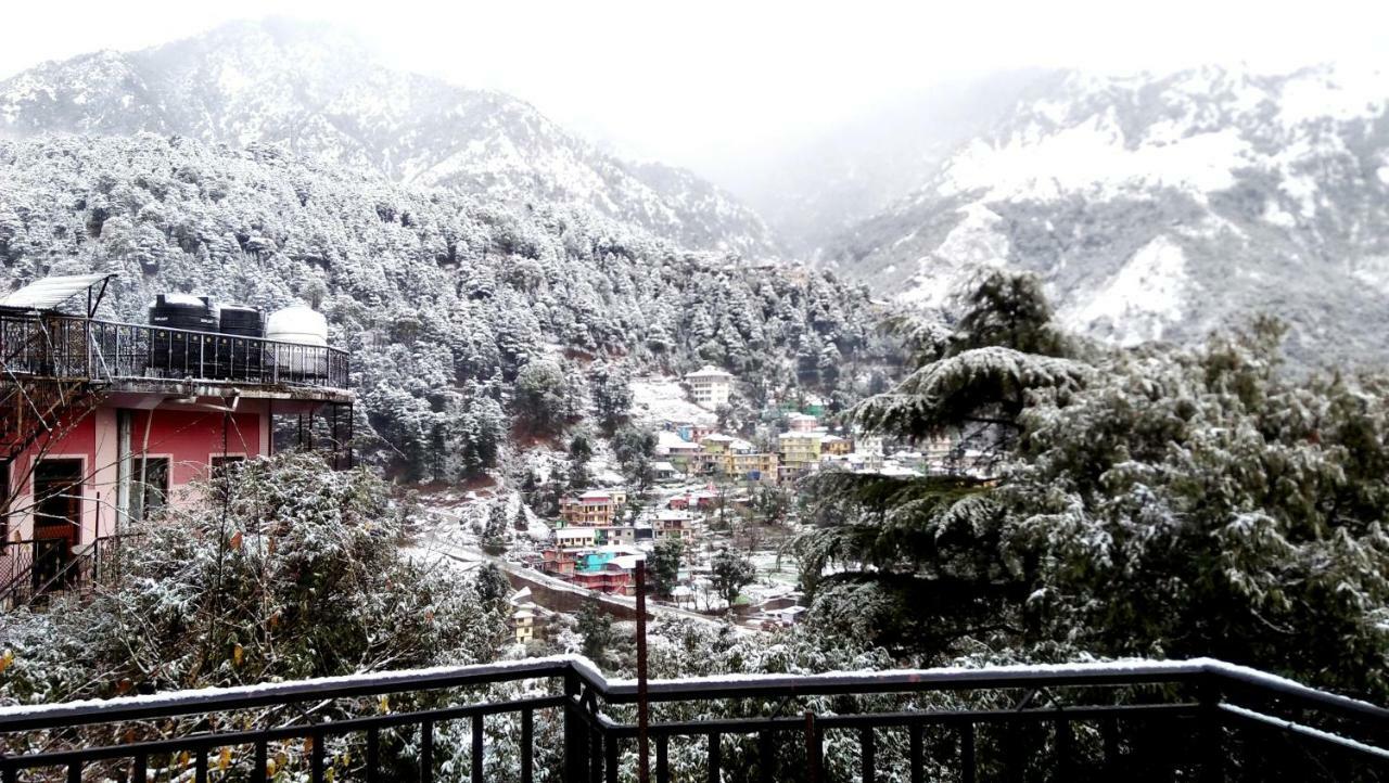 Hotel Misty Woods Dharamsala Zewnętrze zdjęcie